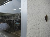 Simg_0901
