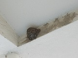 Simg_0904