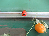 Img_7053