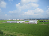 Img_1143