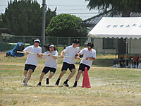 13_img_5878 13_img_5878