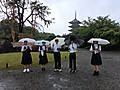 Img_20260602_104404607