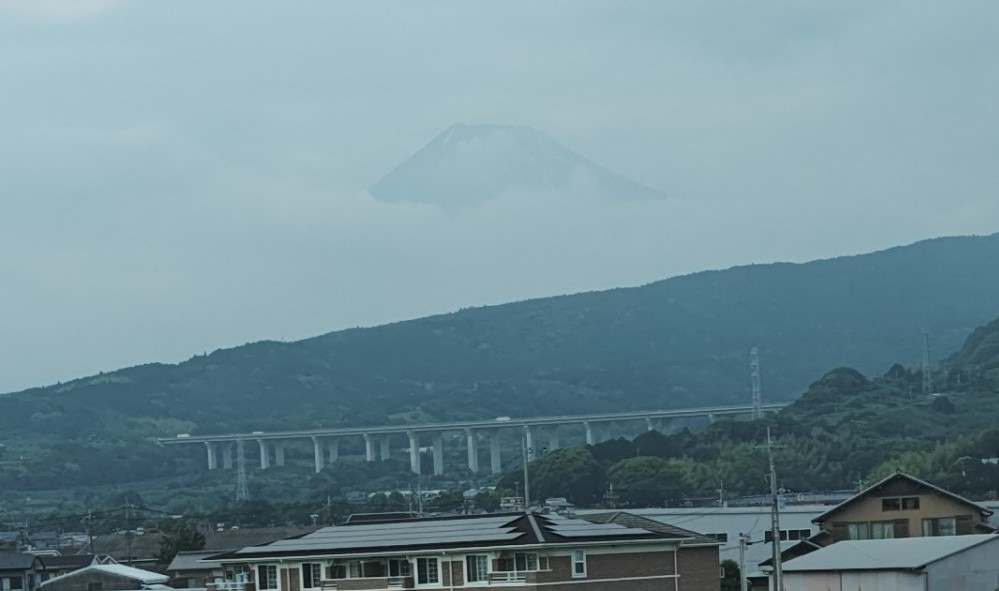 250607144937446_3