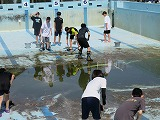 Simg_0882